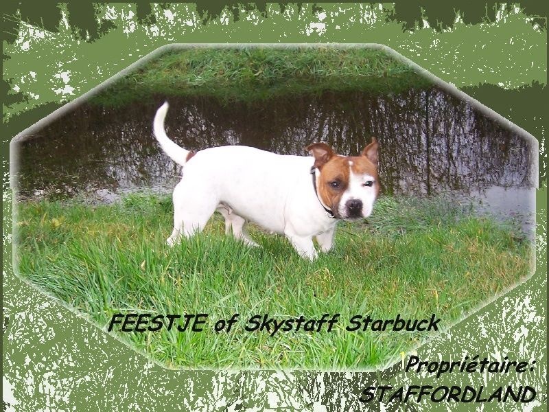 Feestje of Skystaff Starbuck