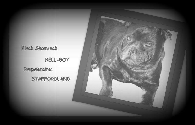 black shamrock Hell-boy