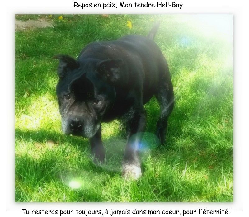 Hommage à mon tendre Hell-Boy 